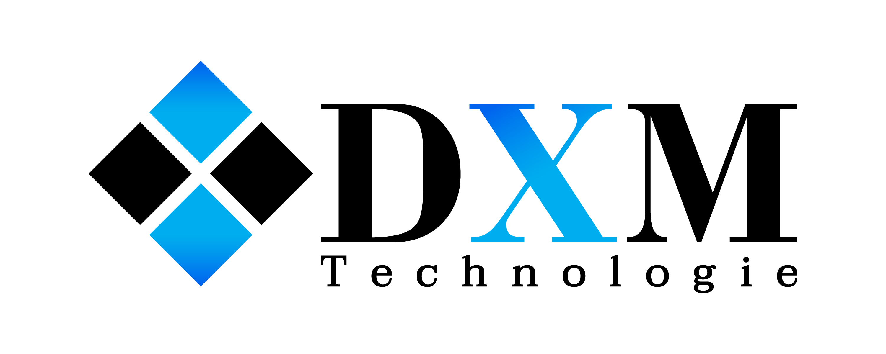 DXM Technologie Inc. Logo